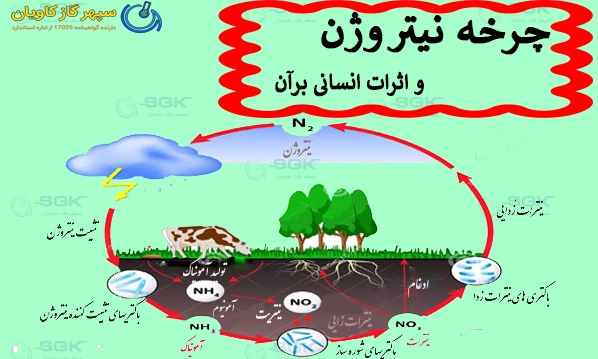 چرخه نیتروژن و اثرات انسانی برآن