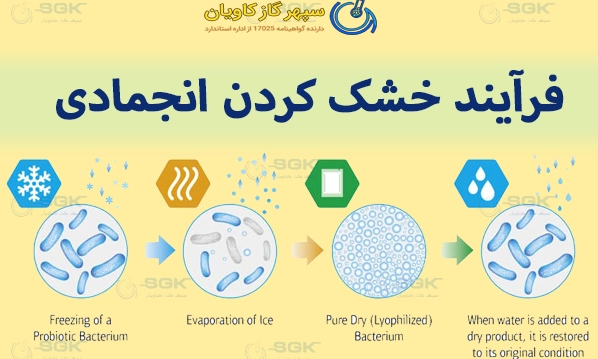 فرآیند خشک‌ کردن انجمادی