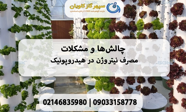 چالش‌ها و مشکلات مصرف نیتروژن در هیدروپونیک