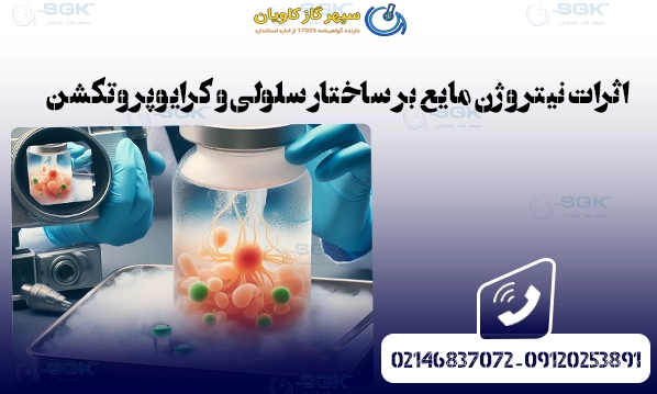 اثرات نیتروژن مایع بر ساختار سلولی و کرایوپروتکشن